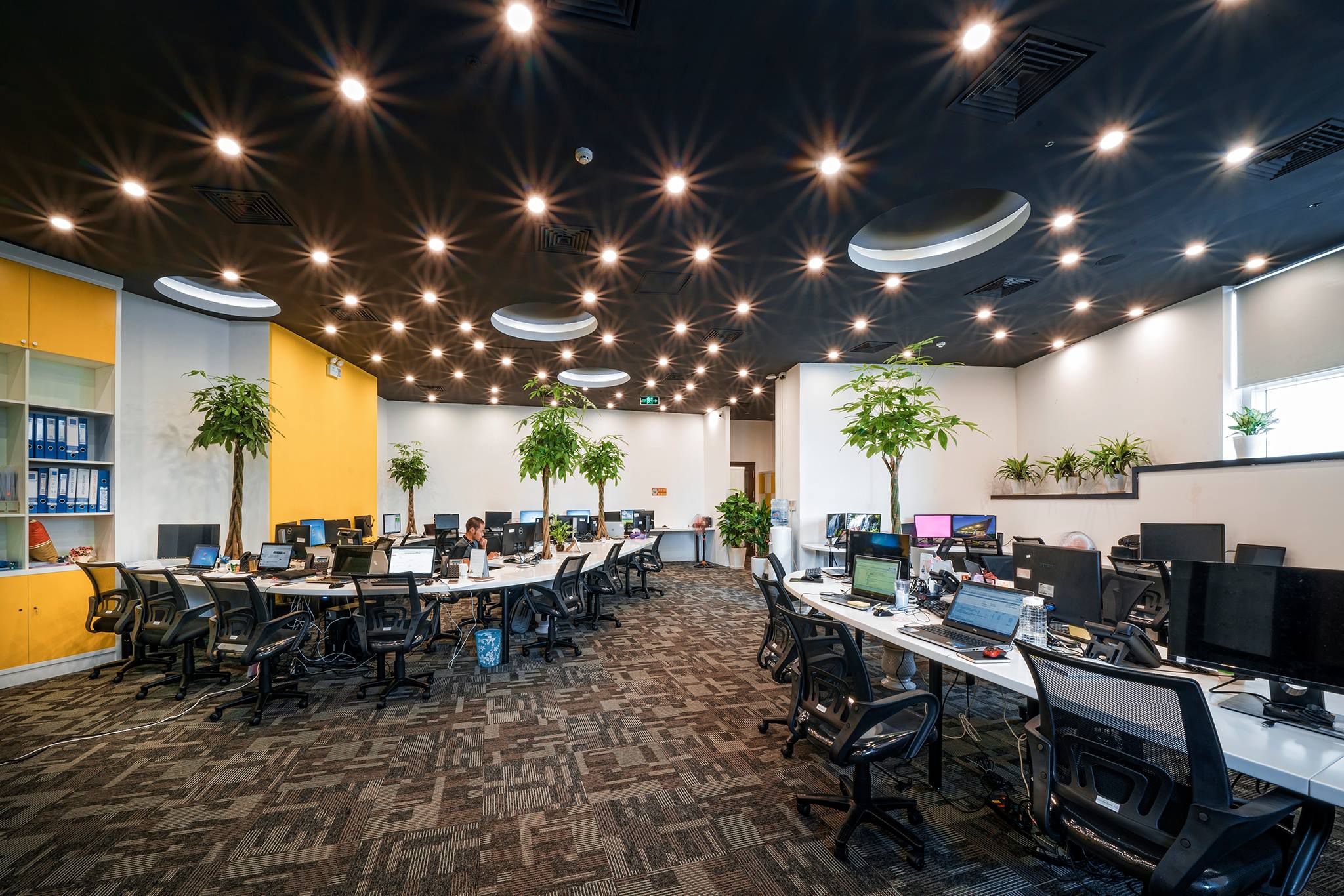 Odoo • Văn bản và hình ảnh